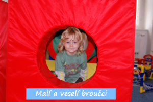 mali-a-veseli-broucci-popis.png